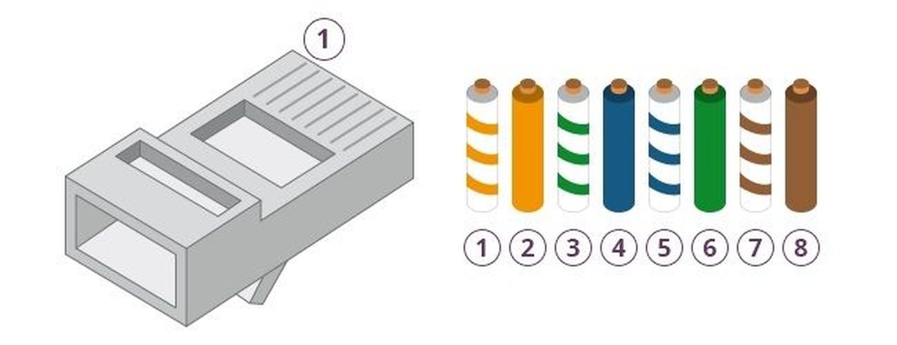 Grijze RJ45 connector met genummerd schema voor de juiste kleurvolgorde van acht netwerkkabeladers.