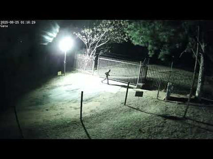 Foscam SD8P - 8MP WLAN - 4-facher Zoom Schwenk-Neige-Zoomkamera